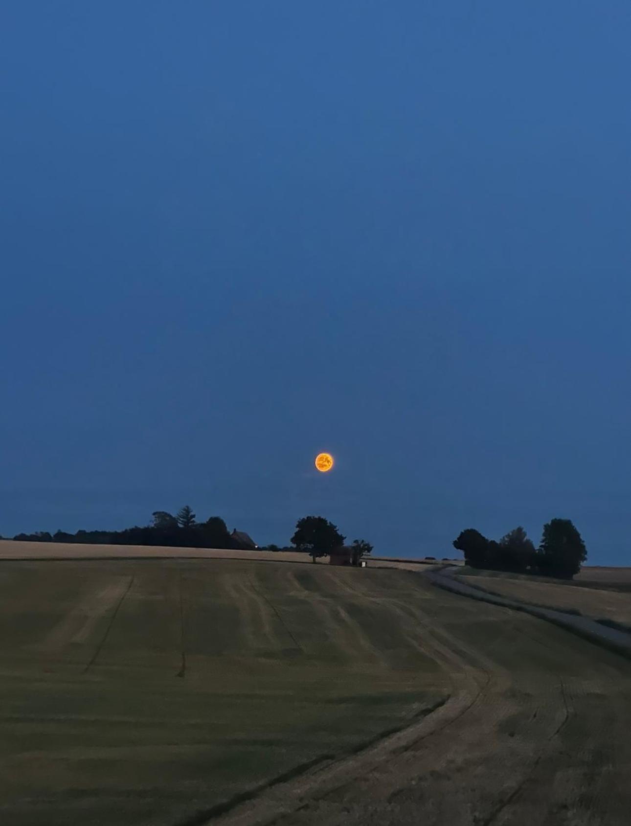 Gaesthus I Naturskoent Laege Genarp Kültér fotó